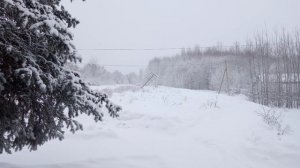 Стихи. Дом