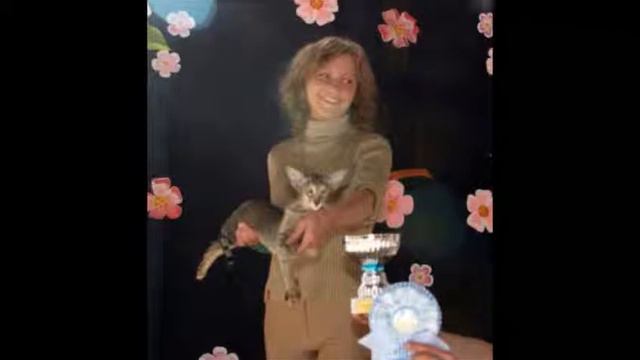 Какими мы были, какими мы стали смотреть онлайн