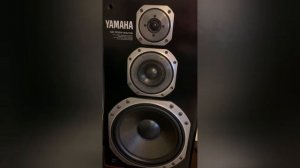 Отзыв подпищика на покупку колонок Yamaha ns 700x