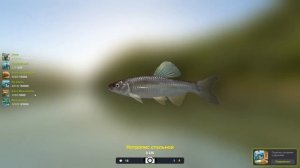 Нотропис стальной 236 грамм, Базовый трофей, игра Трофейная рыбалка 2, река Миссисипи