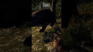 Баг в Far Cry 4 - Баг медведя