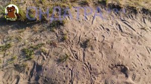 Ультралёгкая катушка KastKing Kestrel.   Анонс ORCA S602LF.