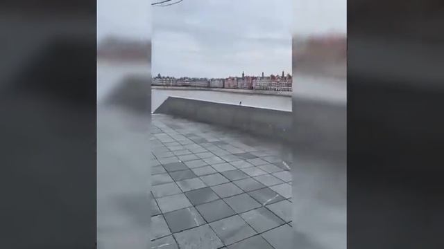 Я горжусь тем что я русский! Отличная песня смотреть онлайн