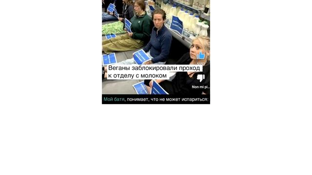 Дневная подборка мемов 732