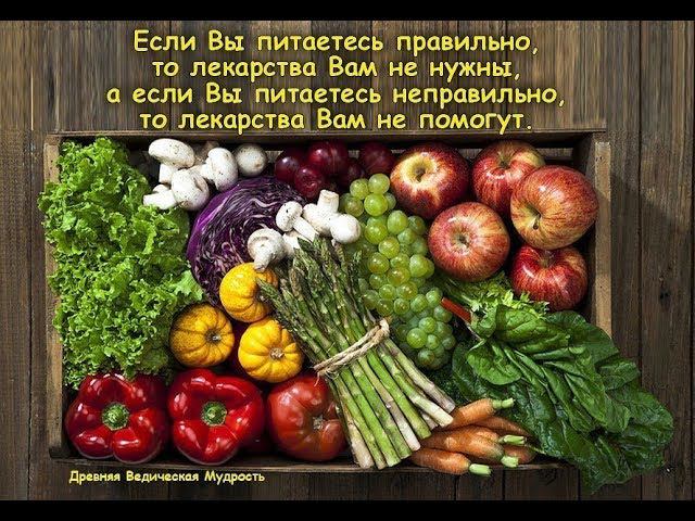 Природное земледелие.  Однолетние Растения.  Часть 1.