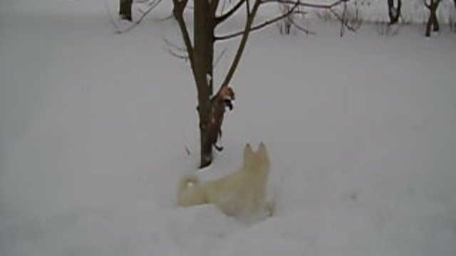 Урок 1.