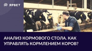 Анализ кормового стола. Как управлять кормлением коров?