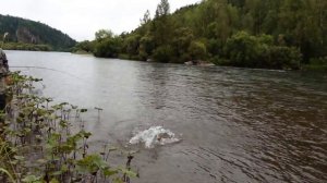 Сплав по Мане Выезжий Лог - Береть 14-21 августа 2016 года.