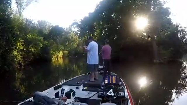 small mouth steals pole смотреть онлайн