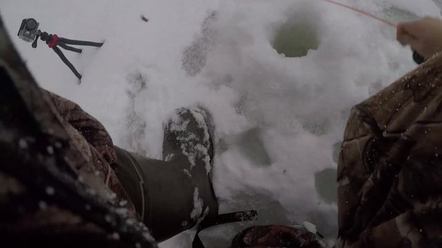 Хариус 2020 новая речка смотреть онлайн