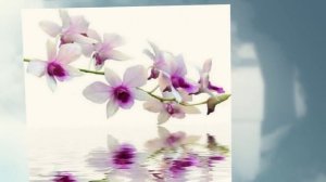 поздравление женщине с юбилеем 80