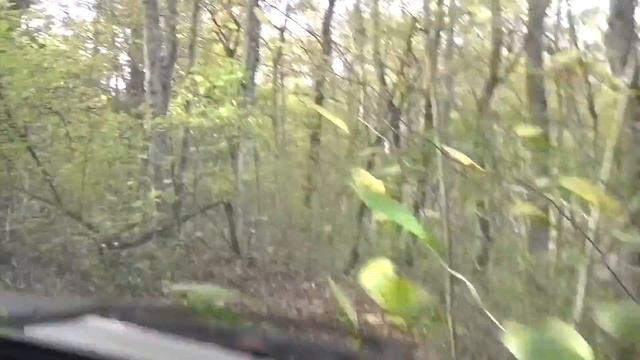 Фанагорийка 1 смотреть онлайн