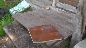 Тест пороха Ирбис-24М