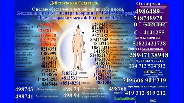 Восстановление организма человека концентрацией на числах. Г.П. Грабовой