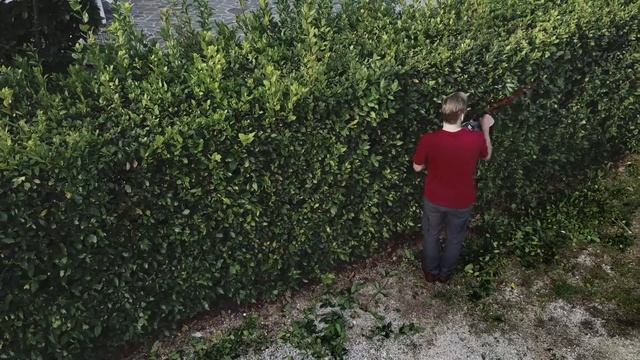 Powerworks PD60HT 2200213 61cm 60v Li-Ion Brushless Cordless Hedge Trimmer - Bare | Screwfix смотреть онлайн