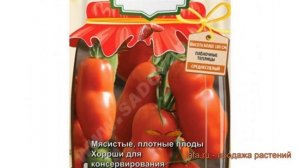 Томат обыкновенный Десяточка (desyatochka) ? Десяточка обзор: как сажать, семена томата Десяточка