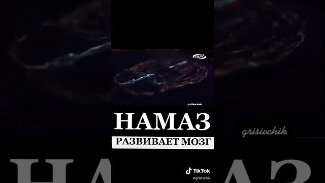 НАМАЗ РАЗВИВАЕТ МОЗГ  🕌