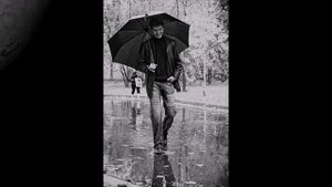 Геннадий Шпаликов «Ах, улицы, единственный приют…». Стихи под музыку.