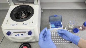 Выделение ДНК из растительной ткани. Часть 2.