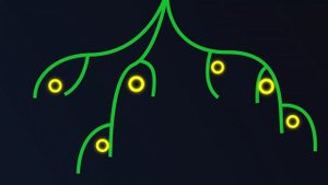 Коротко о бактериях в растениеводстве