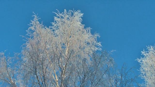 РУСЬ... МЕЛОДИЯ... БАЯН... смотреть онлайн