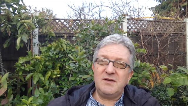 Zone-pushing sub-tropical fruit trees outdoors in the UK, is it even worth bothering to try ? 🤔