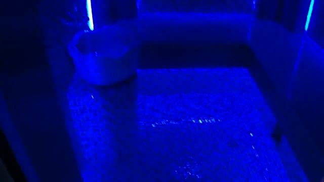 Строительство турецкой бани хамам в доме банный комплекс СПА смотреть онлайн