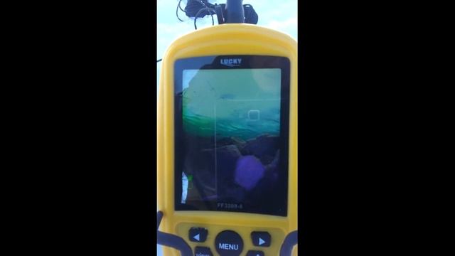 Два дня на горной реке. смотреть онлайн