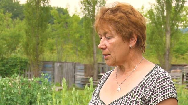 Ясенец или Купина неопалимая