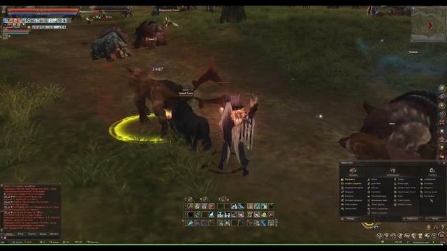Питомцы - как прокачивать и есть ли смысл? Петы в Lineage 2 Essence