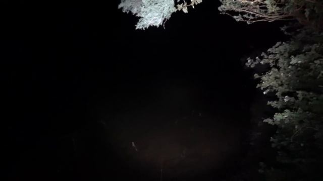 Рыбалка на реке ИЛИ МИНИМУМ ВРЕМЕНИ МАКСИМУМ УЛОВА 30.06.2023 как всегда САЗАН, ВОБЛА и КАРАСЬ