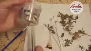 "Москитная свечка своими руками, спасет от комаров на даче и дома"