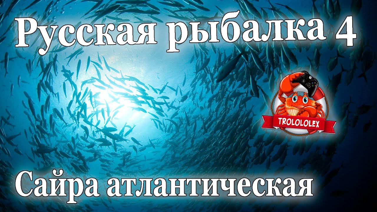 Русская рыбалка 4 Сайра атлантическая Трофей смотреть онлайн