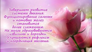 Развитие плода на 24 неделе беременности!