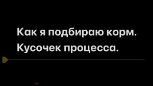 Подбор корма мной.