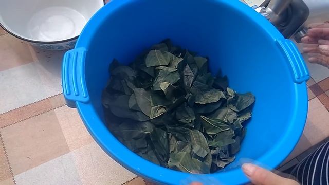 Ферментированный чай из листьев вишни!