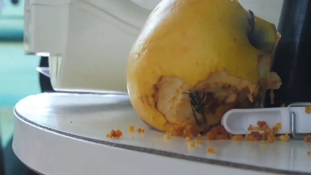 Lumixe panasonic DMC TZ57 смотреть онлайн