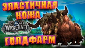 Эластичная Кожа Соло Заработок Золота WoW Dragonflight | Голдфарм