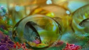 Осьминожки, Э.Успенский. В сокращении