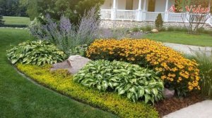 Примеры ландшафтного дизайна на садовом участке / Examples of landscaping on the garden plot