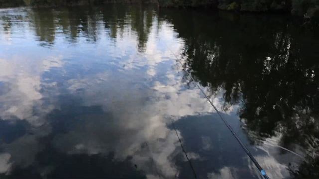 На поплавчанку на дикому озері.?? смотреть онлайн