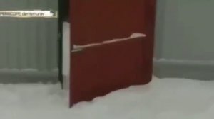 Псковские подростки вели видеотрансляцию