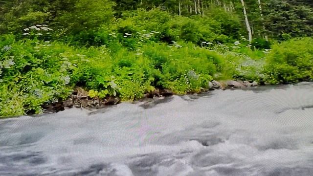 Пророческое Слово- ПОДНЯТЫЕ РУКИ!! ДУХ АМАЛИКА ПОРАЖЕН!! смотреть онлайн