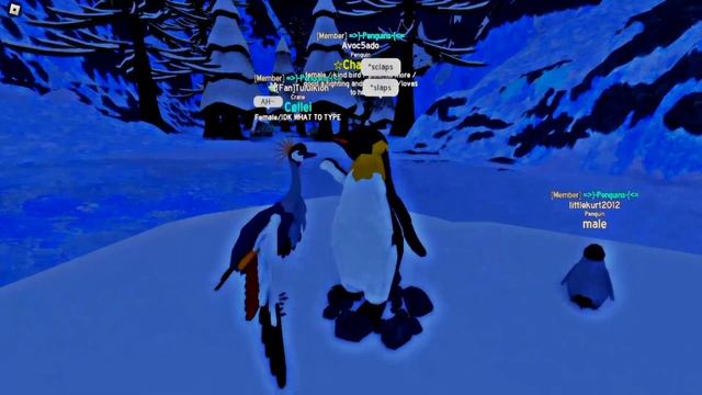 Penguin realism | Feather Family [Roblox] 4K смотреть онлайн