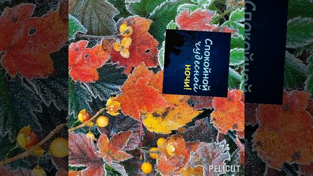 Спокойной ночи! #позитив #хорошеенастроение #открытка #спокойнойночи #ночь