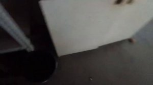 Сколько квочка вывела цыплят🐥🐤 Дождя не было 3 месяца💧💧💧Роза зацвела 🌹🌹🌹Рулька по китайски н