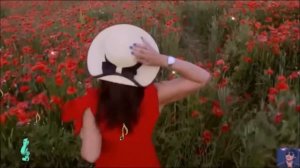 Люблю сильней... = саксофон \ Сени суйем \ = Кайрат Нуртас
