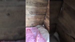 Баня из того что было ?