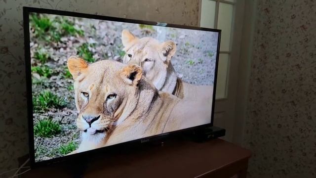 SATURN led40hd400U Яркость, контраст ,уровень черного .Как показывает ? смотреть онлайн