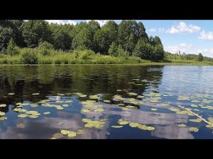 Отчёт о рыбалке, река Хотча 25.06.2024г.